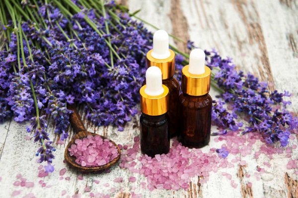 15 Best Essential Oils For Therapeutic Purposes | AdvertsHosts